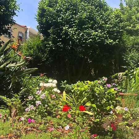 Maison d'hôtes Alma Peregrina *